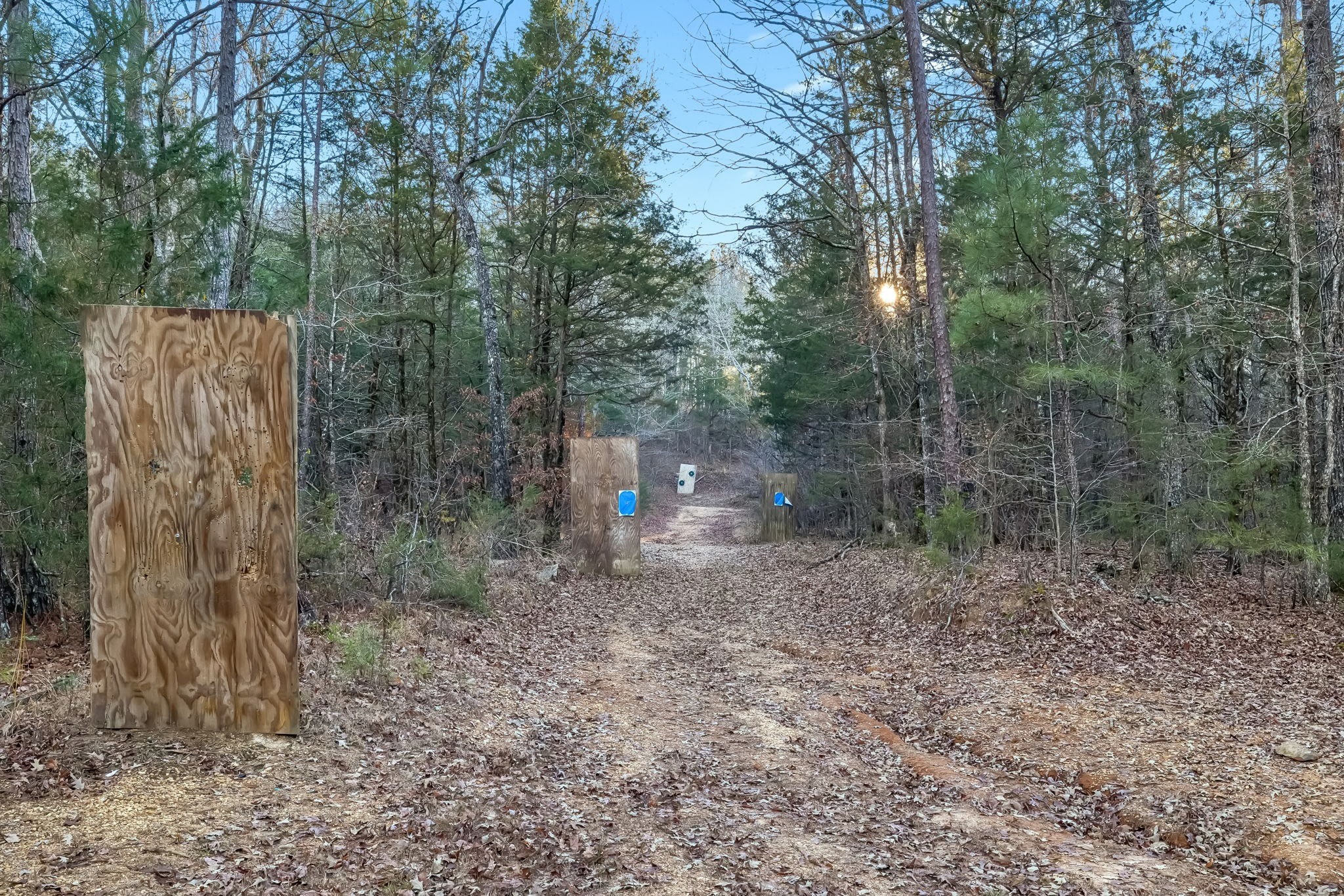 3400 Allsboro Road Cherokee, AL 35616 - Photo 71 of 100 a view of a forest filled with trees