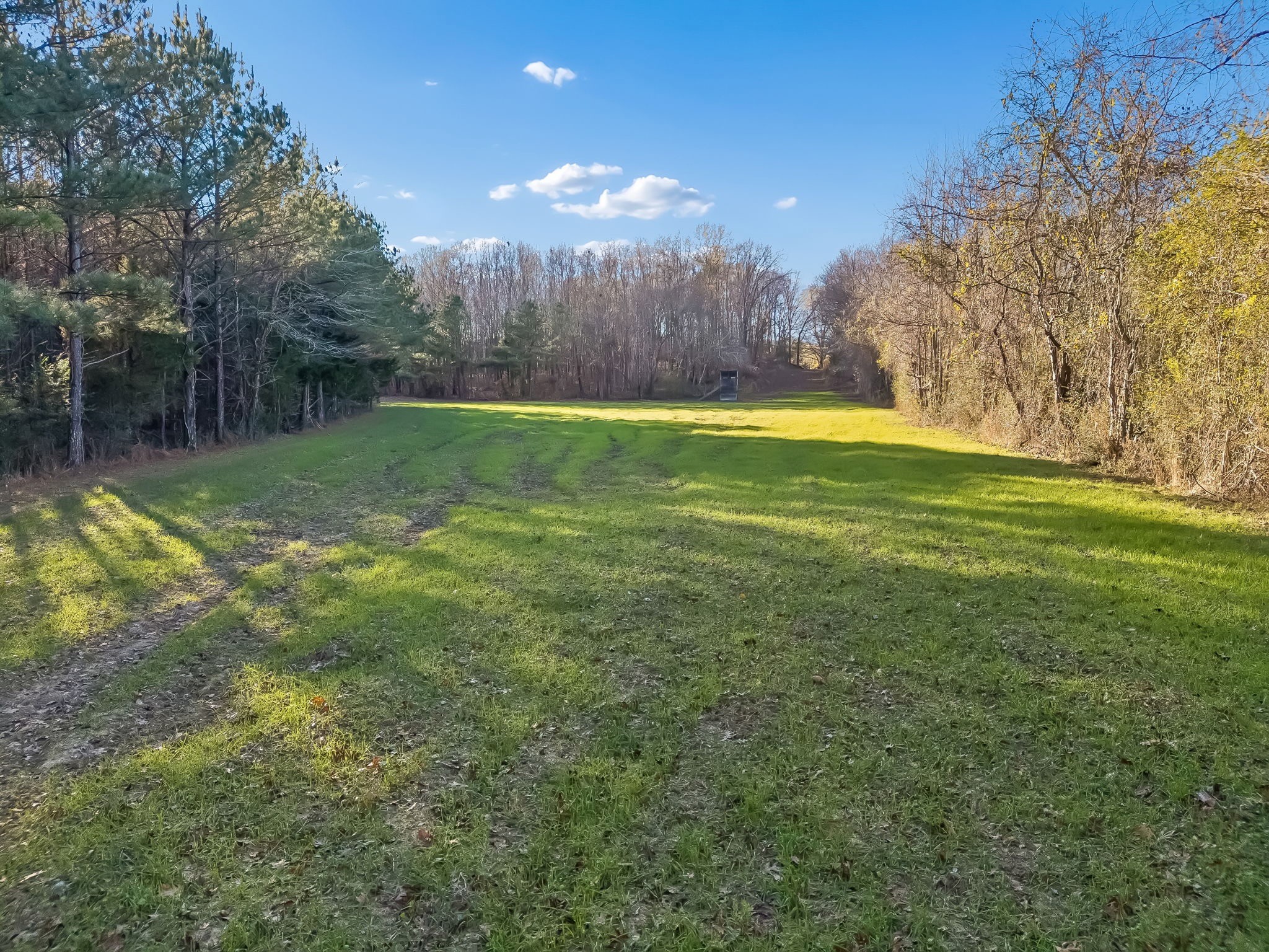 3400 Allsboro Road Cherokee, AL 35616 - Photo 73 of 100 a view of a yard in front of the house