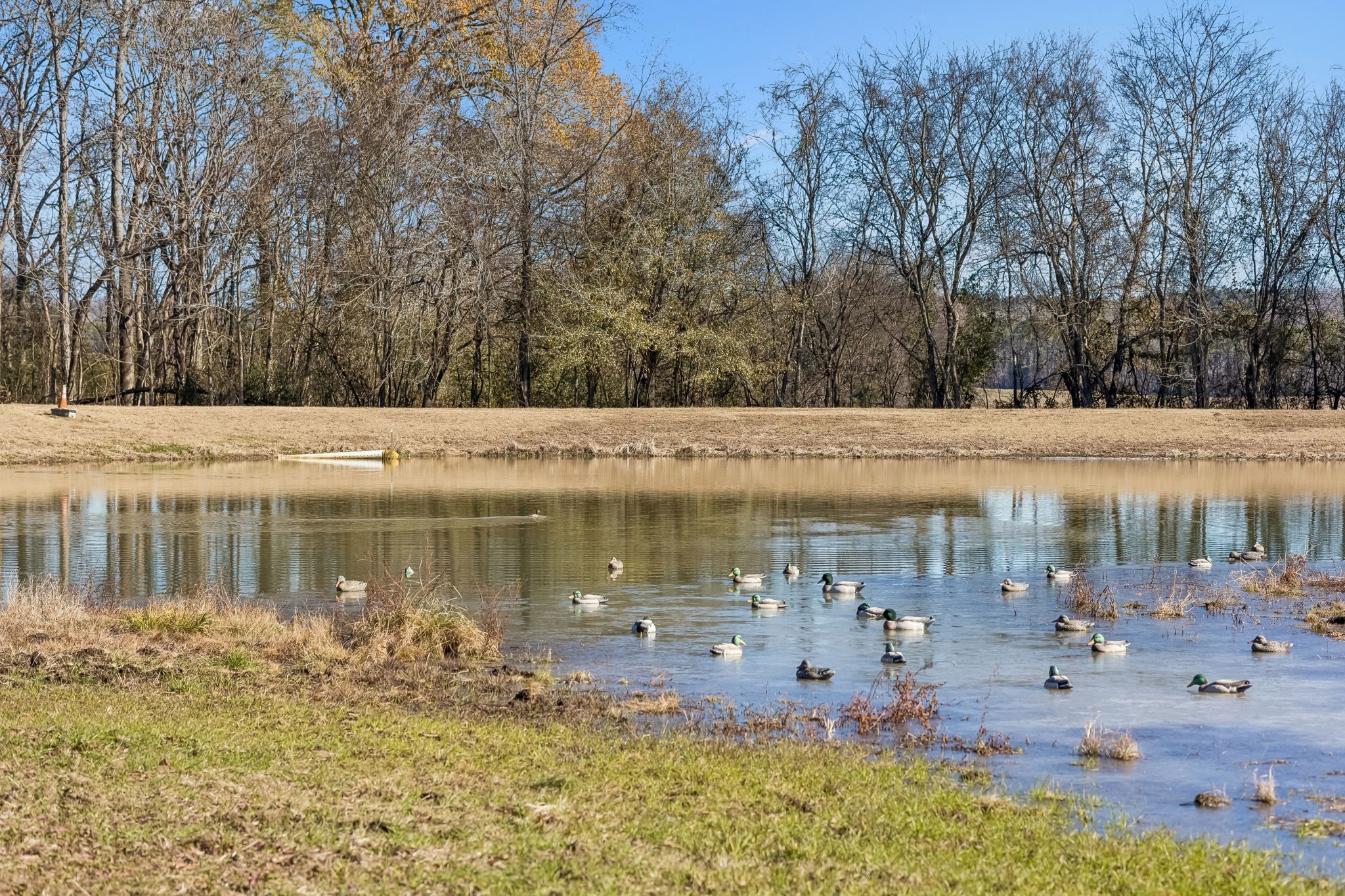 3400 Allsboro Road Cherokee, AL 35616 - Photo 76 of 100