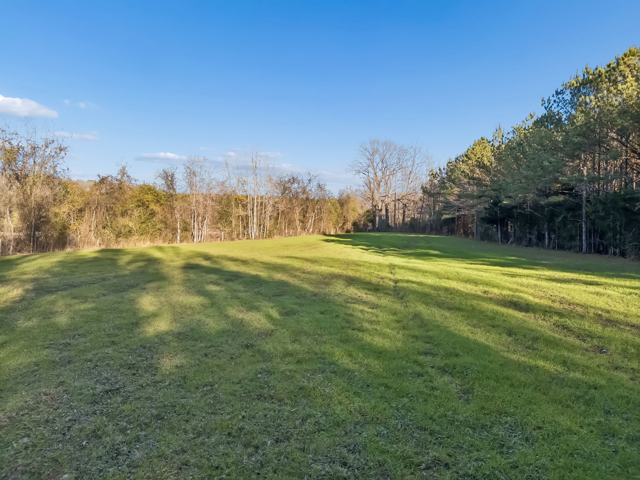 3400 Allsboro Road Cherokee, AL 35616 - Photo 79 of 100