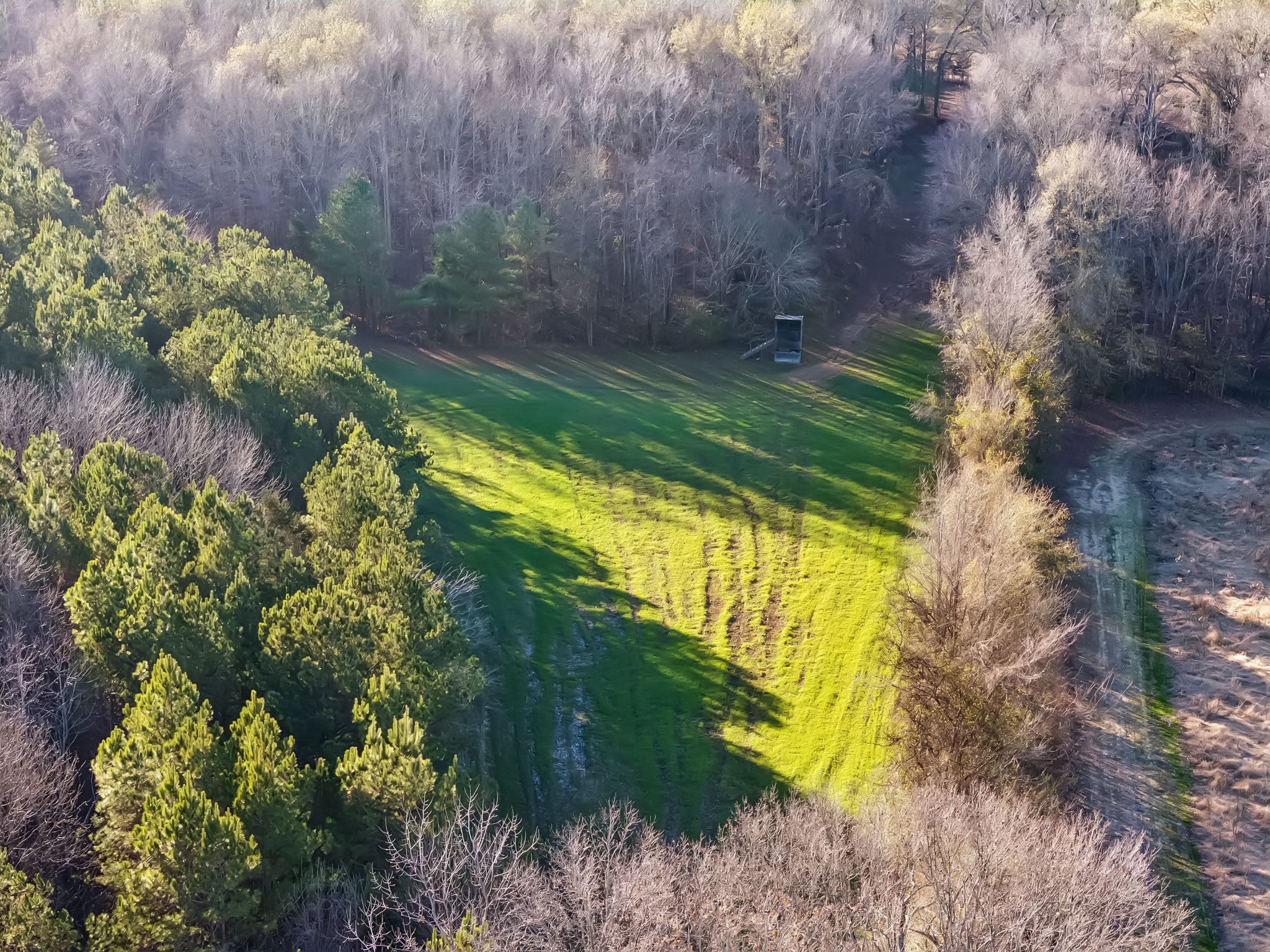 3400 Allsboro Road Cherokee, AL 35616 - Photo 87 of 100