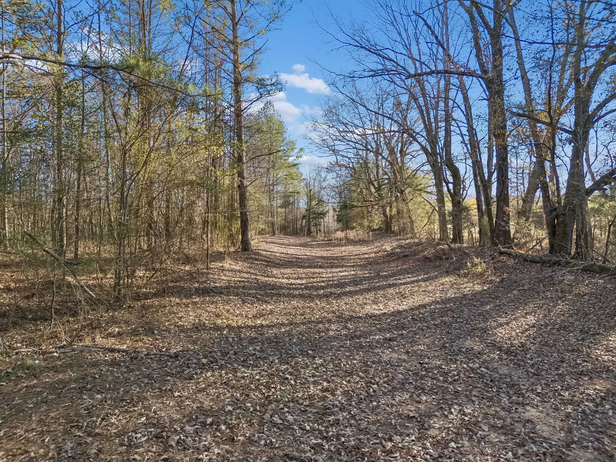 3400 Allsboro Road Cherokee, AL 35616 - Photo 88 of 100 a backyard of a house with lots of green space