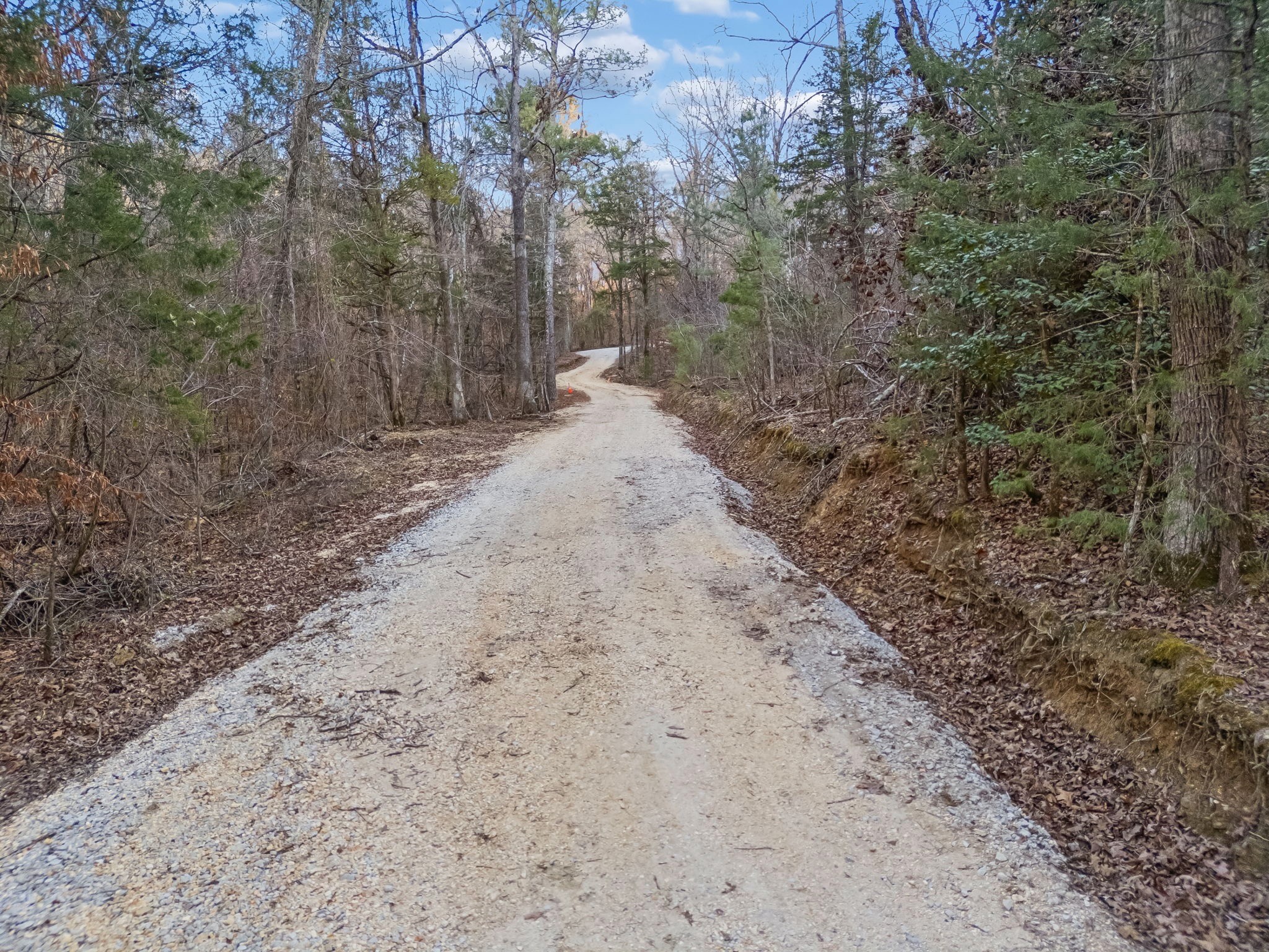 3400 Allsboro Road Cherokee, AL 35616 - Photo 90 of 100 a view of a dry yard with trees in the background