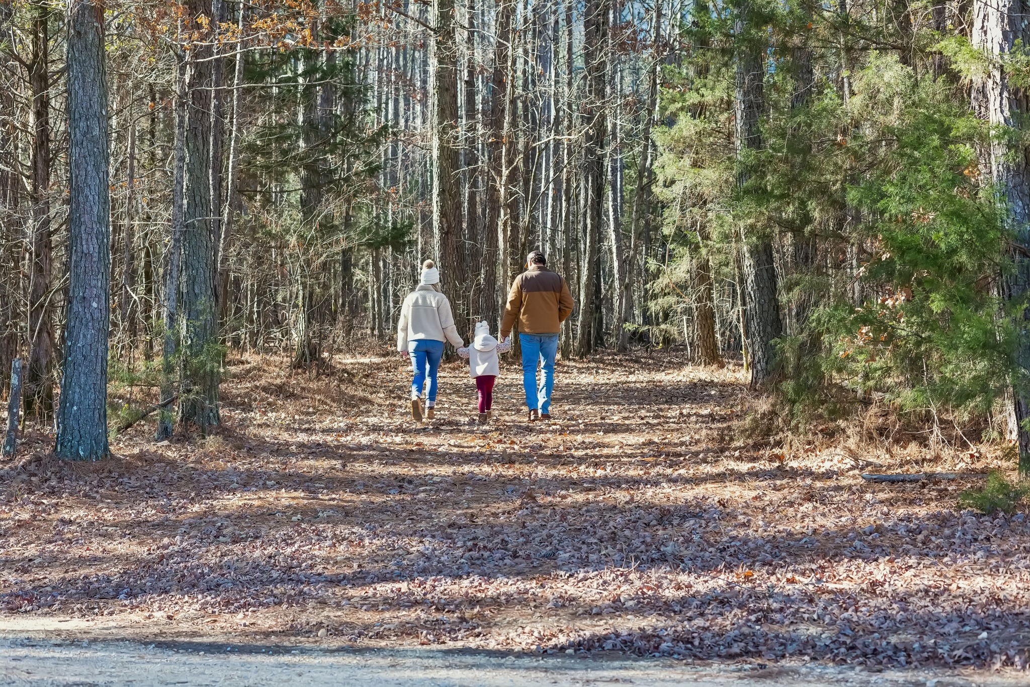 3400 Allsboro Road Cherokee, AL 35616 - Photo 92 of 100