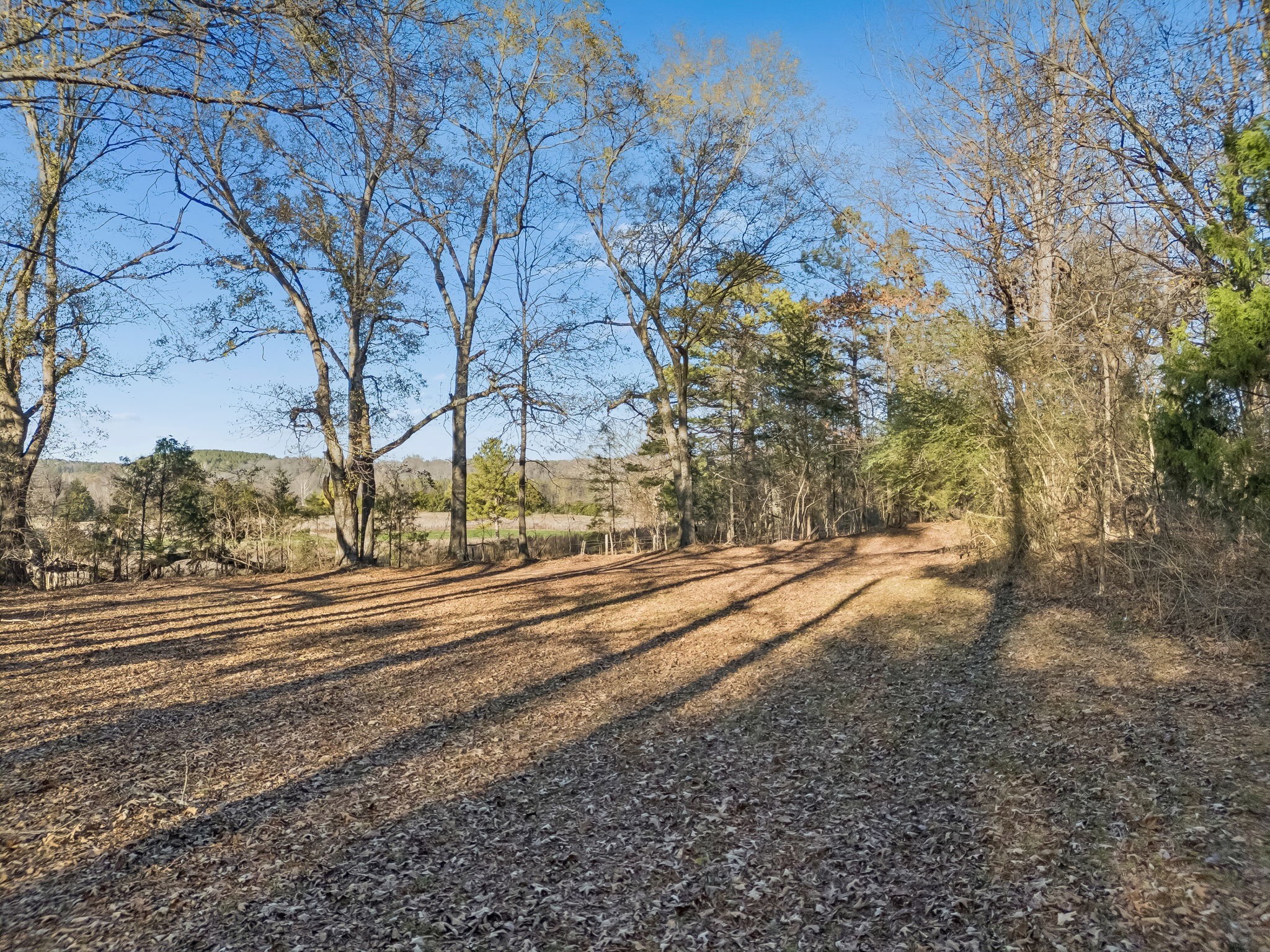 3400 Allsboro Road Cherokee, AL 35616 - Photo 98 of 100