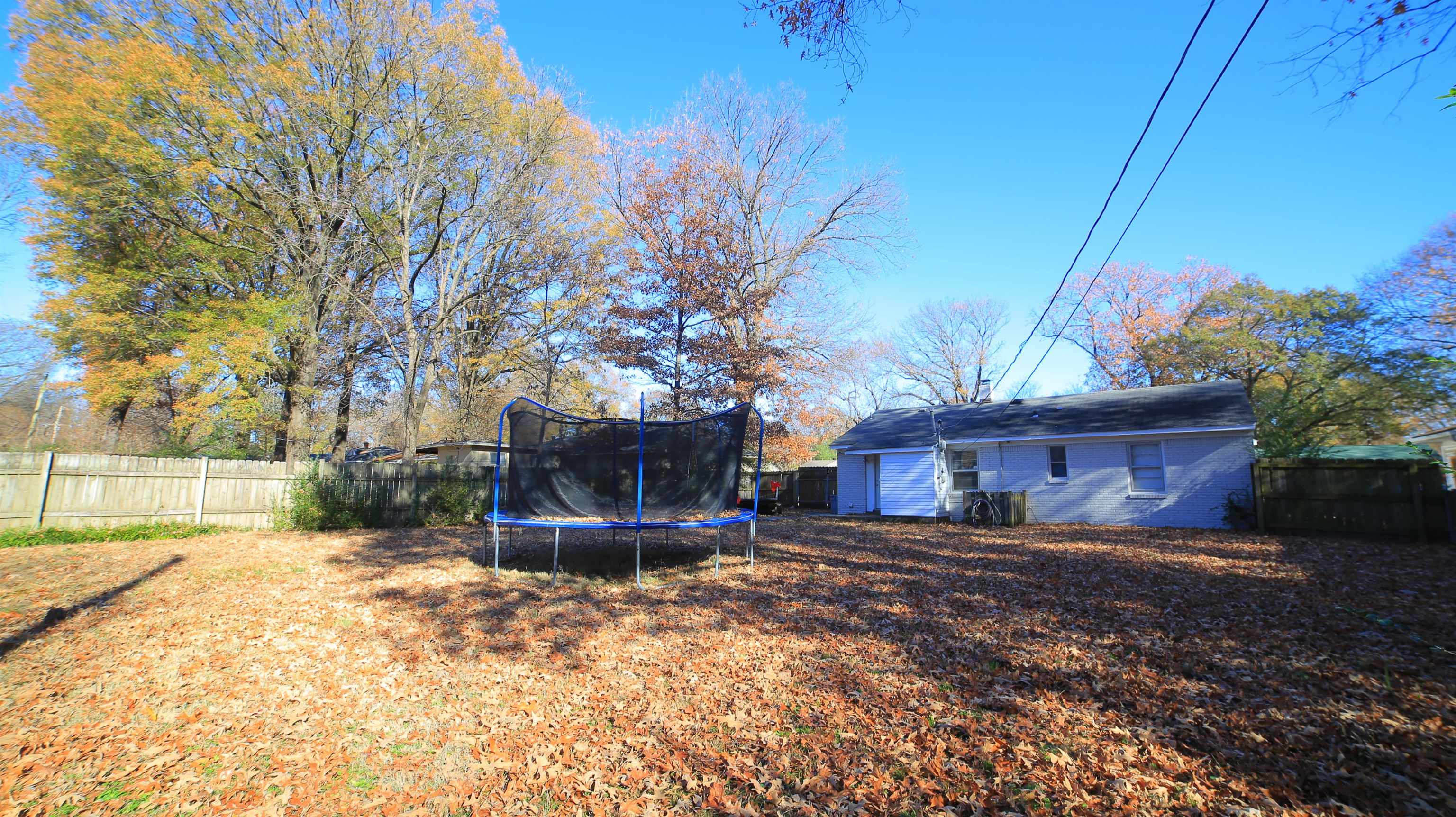 1605 Marcia Road Memphis, TN 38117 - Photo 14 of 15 a view of house with backyard and trees