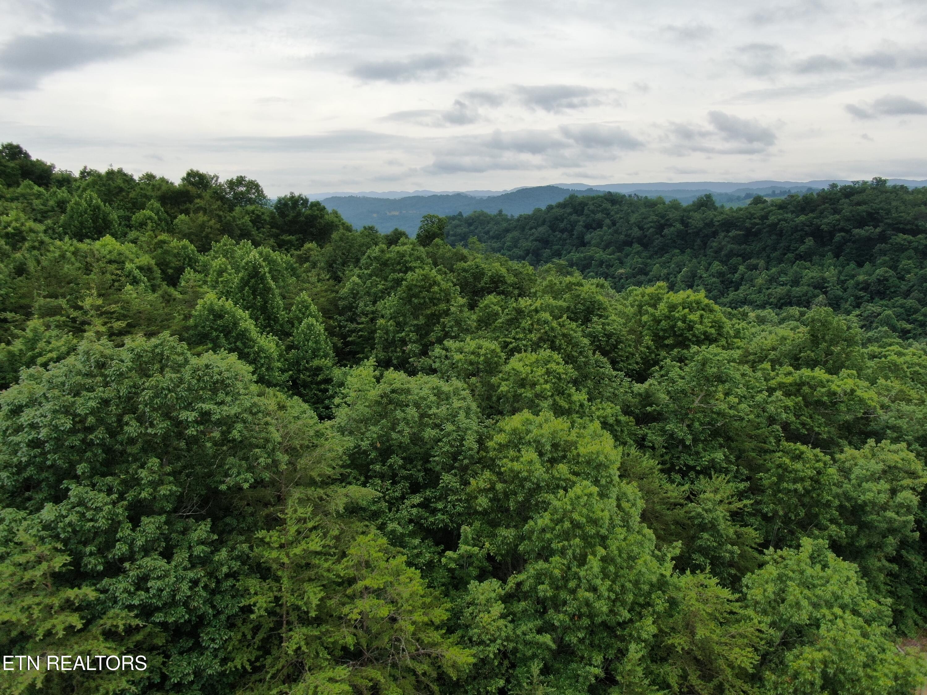 171 Bluff View Road New Tazewell, TN 37825 - Photo 20 of 27 DJI_0402