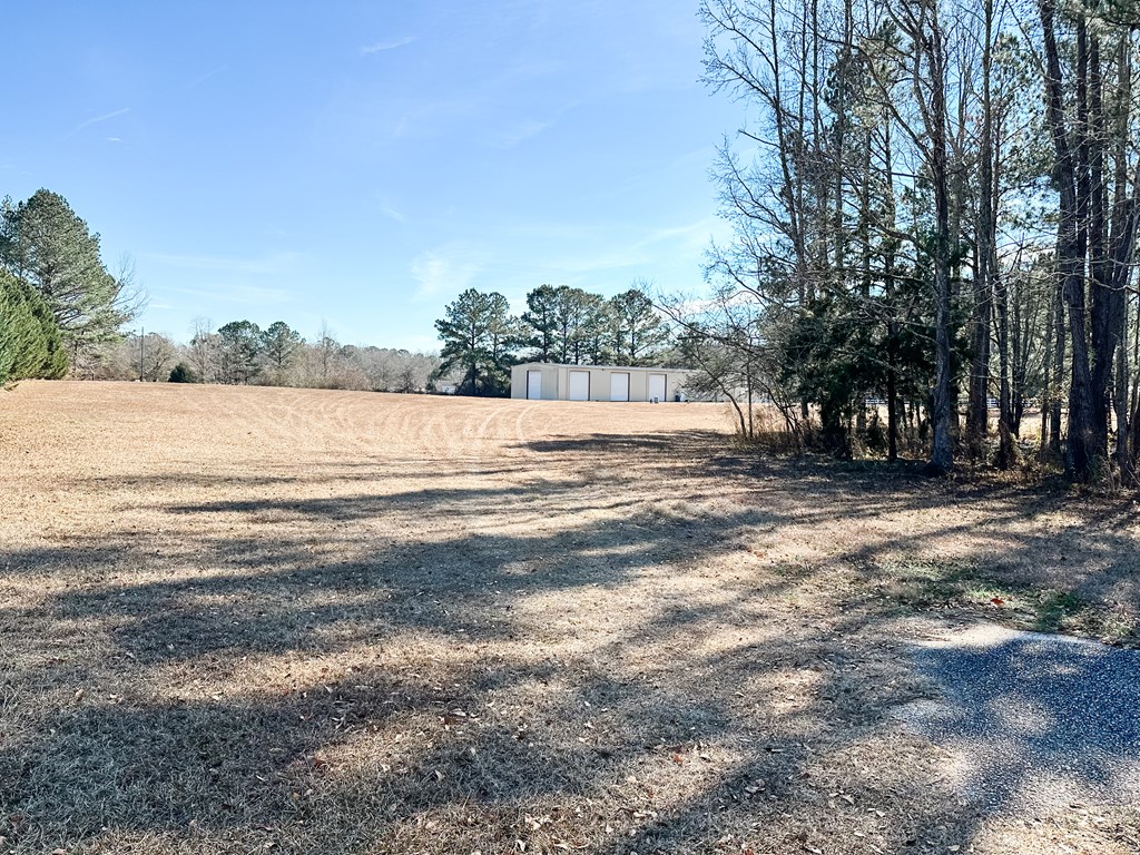75 Roy Martin Road Dothan, AL 36301 - Photo 2 of 21
