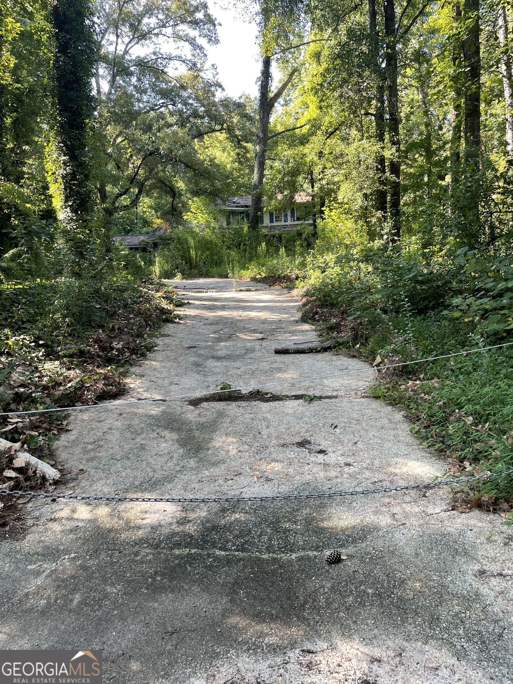 3311 Rowden Road Ellenwood, GA 30294 - Photo 6 of 6 a view of road with large trees