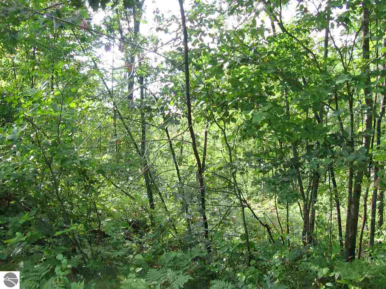 0 East Heath Road Lupton, MI 48635 - Photo 16 of 22 1790335-15.JPG