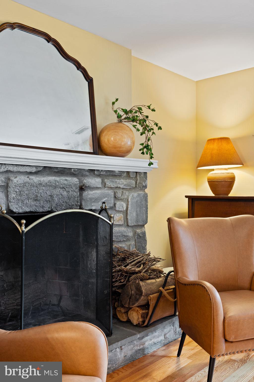 1014 Townsend Circle Wayne, PA 19087 - Photo 8 of 68 a living room with a couch and potted plant
