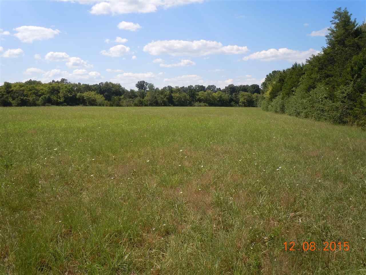 0 Hickman Road Georgetown, TN 37336 - Photo 1 of 1 Gallery Image 1