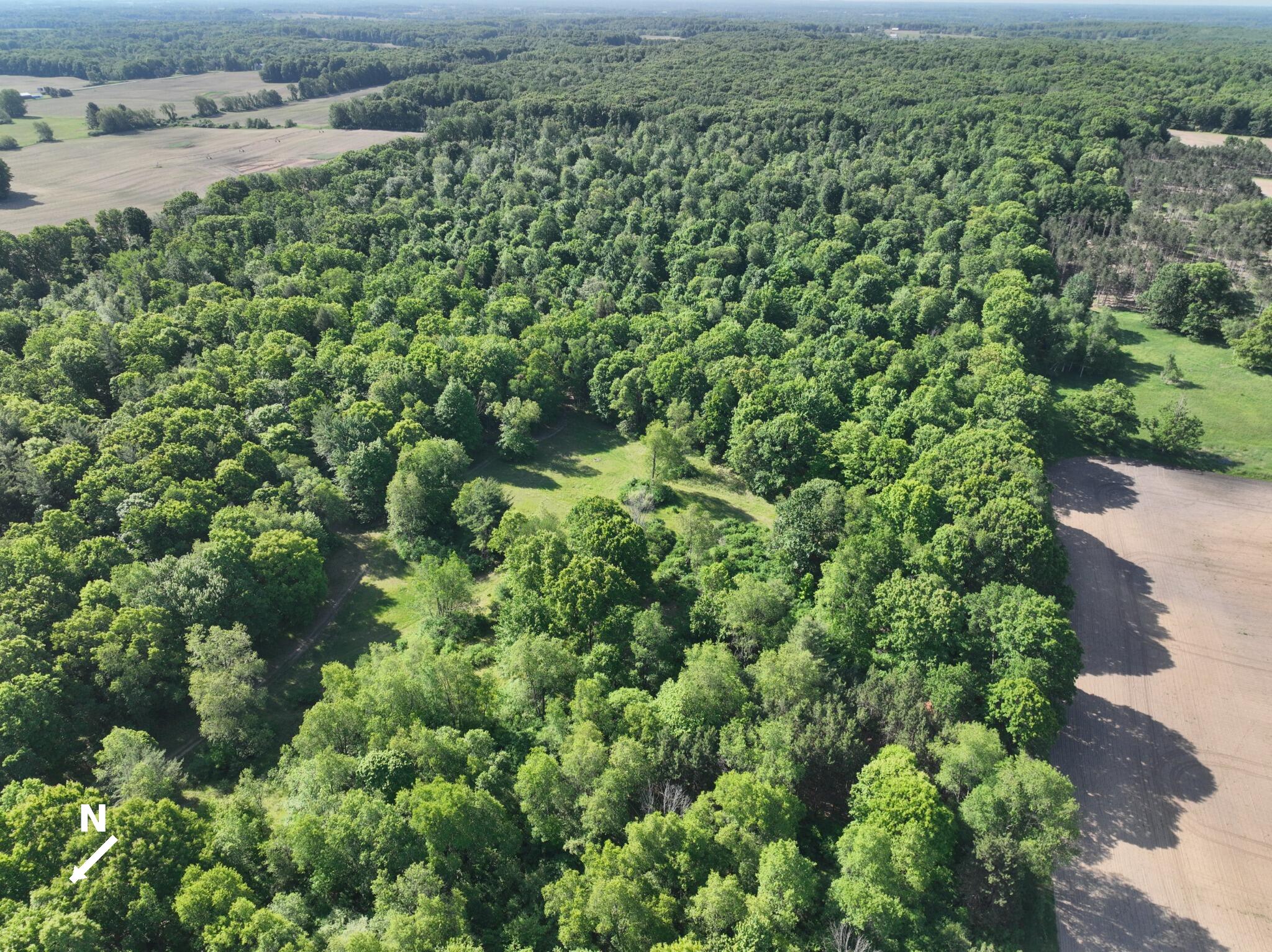 3685 Cypress Road Blanchard, MI 49310 - Photo 10 of 32 North_to_LowerLeft_1
