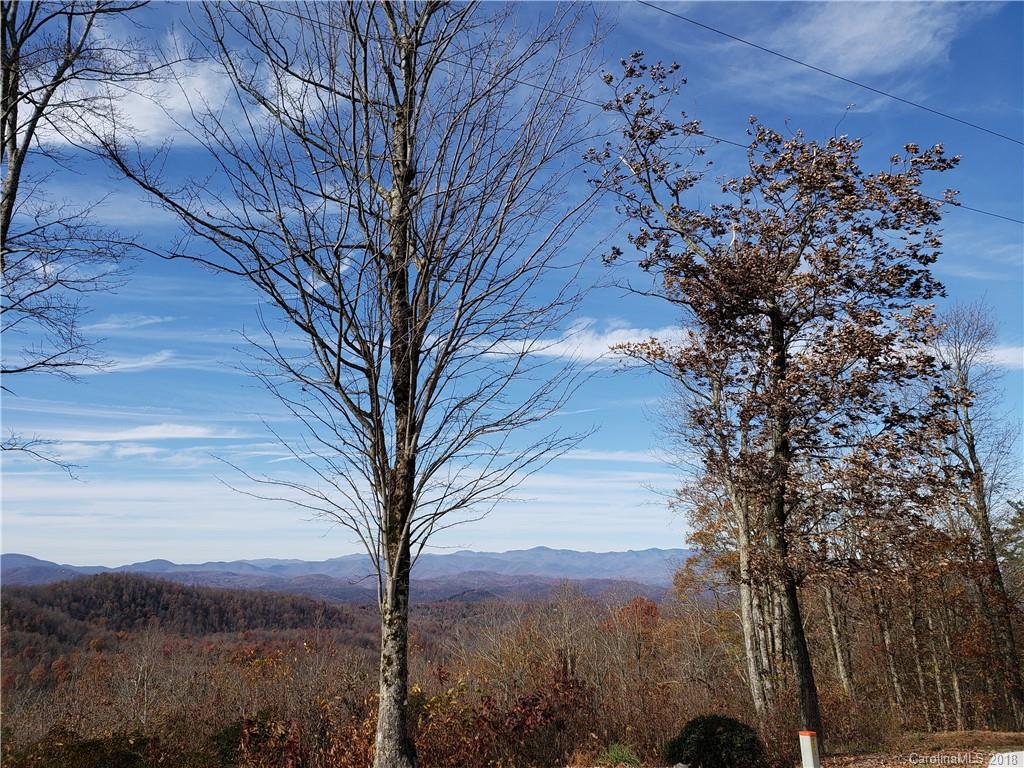 Tbd Nancy Mountain Road Rosman, NC 28772 - Photo 16 of 30 Gallery Image 16