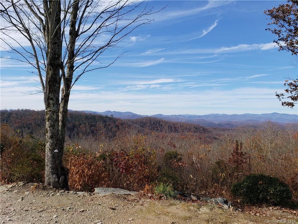 Tbd Nancy Mountain Road Rosman, NC 28772 - Photo 17 of 30 Gallery Image 17