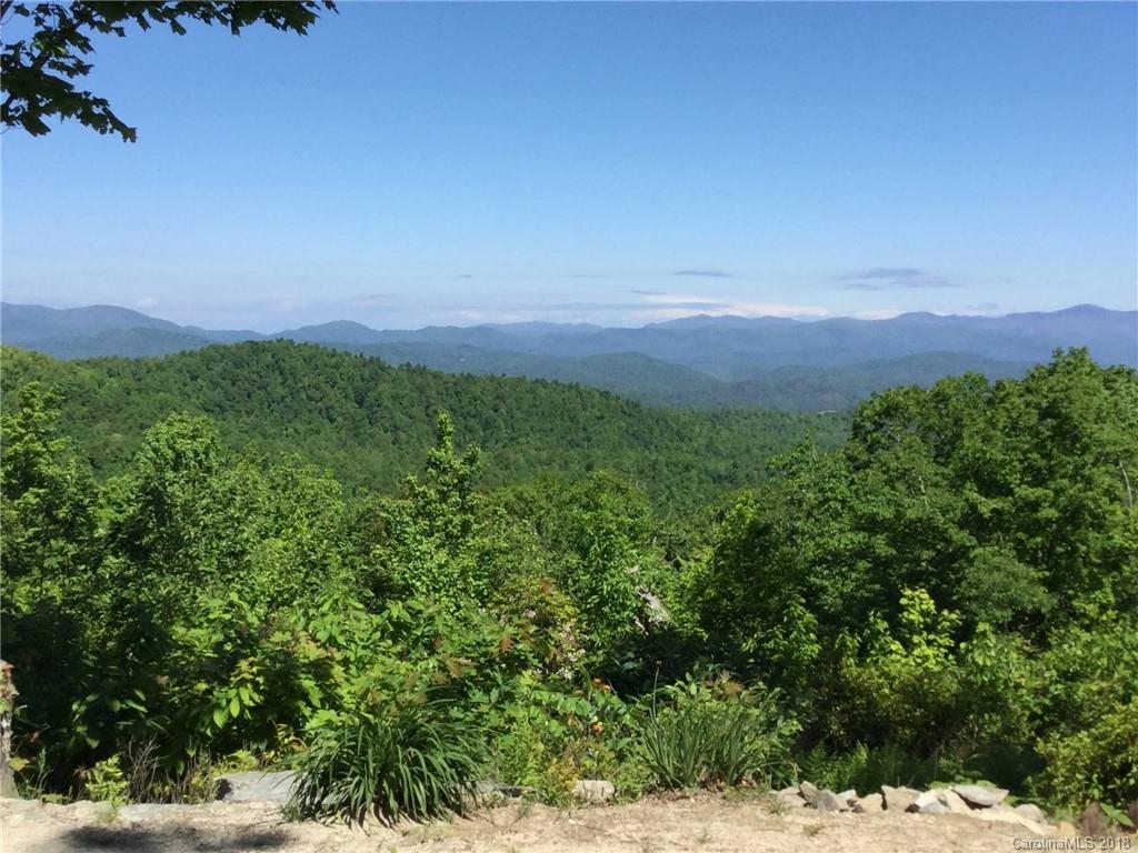 Tbd Nancy Mountain Road Rosman, NC 28772 - Photo 3 of 30 Gallery Image 3