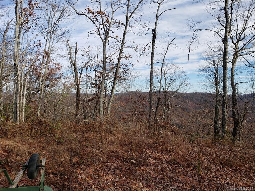Tbd Nancy Mountain Road Rosman, NC 28772 - Photo 21 of 30 Gallery Image 21