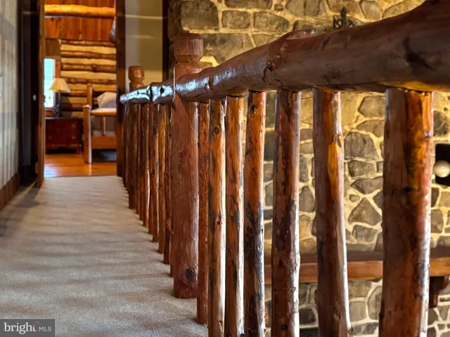 a view of a forest with a mountain and trees