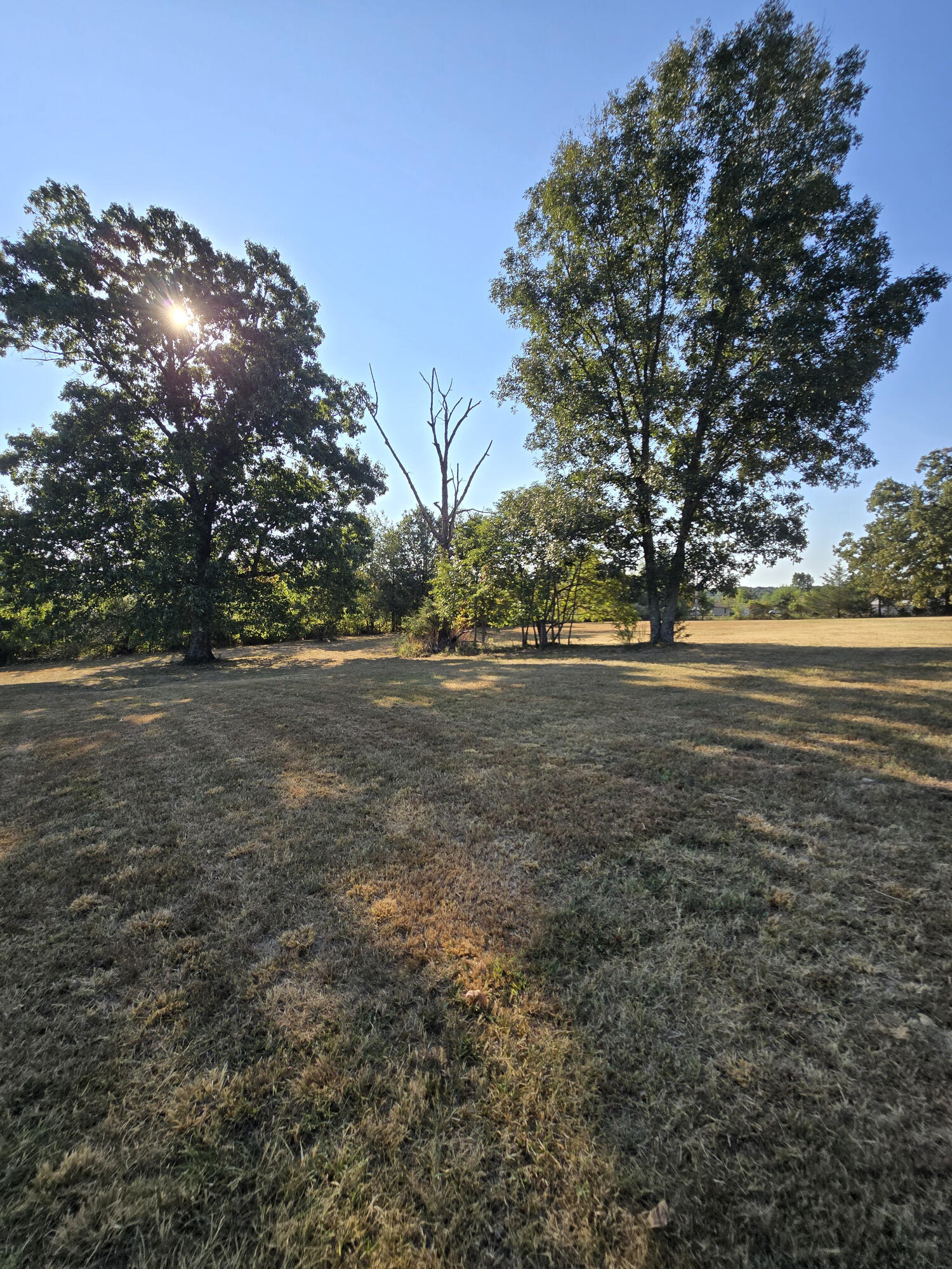 4513 State Route North Pomona, MO 65789 - Photo 37 of 41 37) 77087-6aa84ae3b1a36