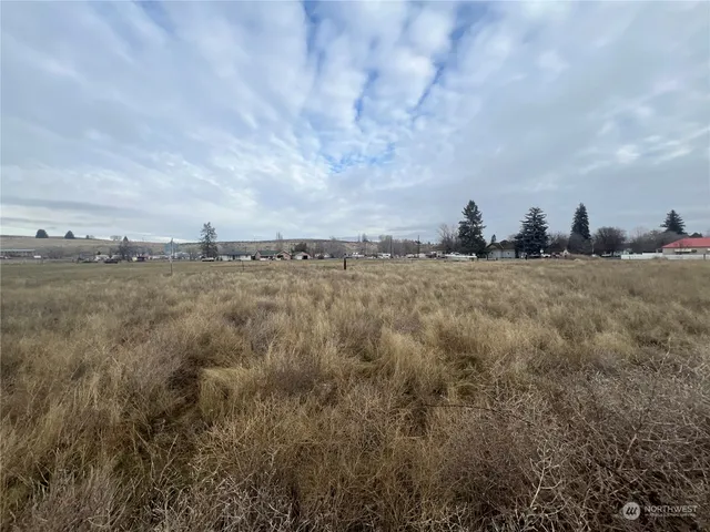 $25,000 | 0 Railroad Street, Wilson Creek, WA 98860