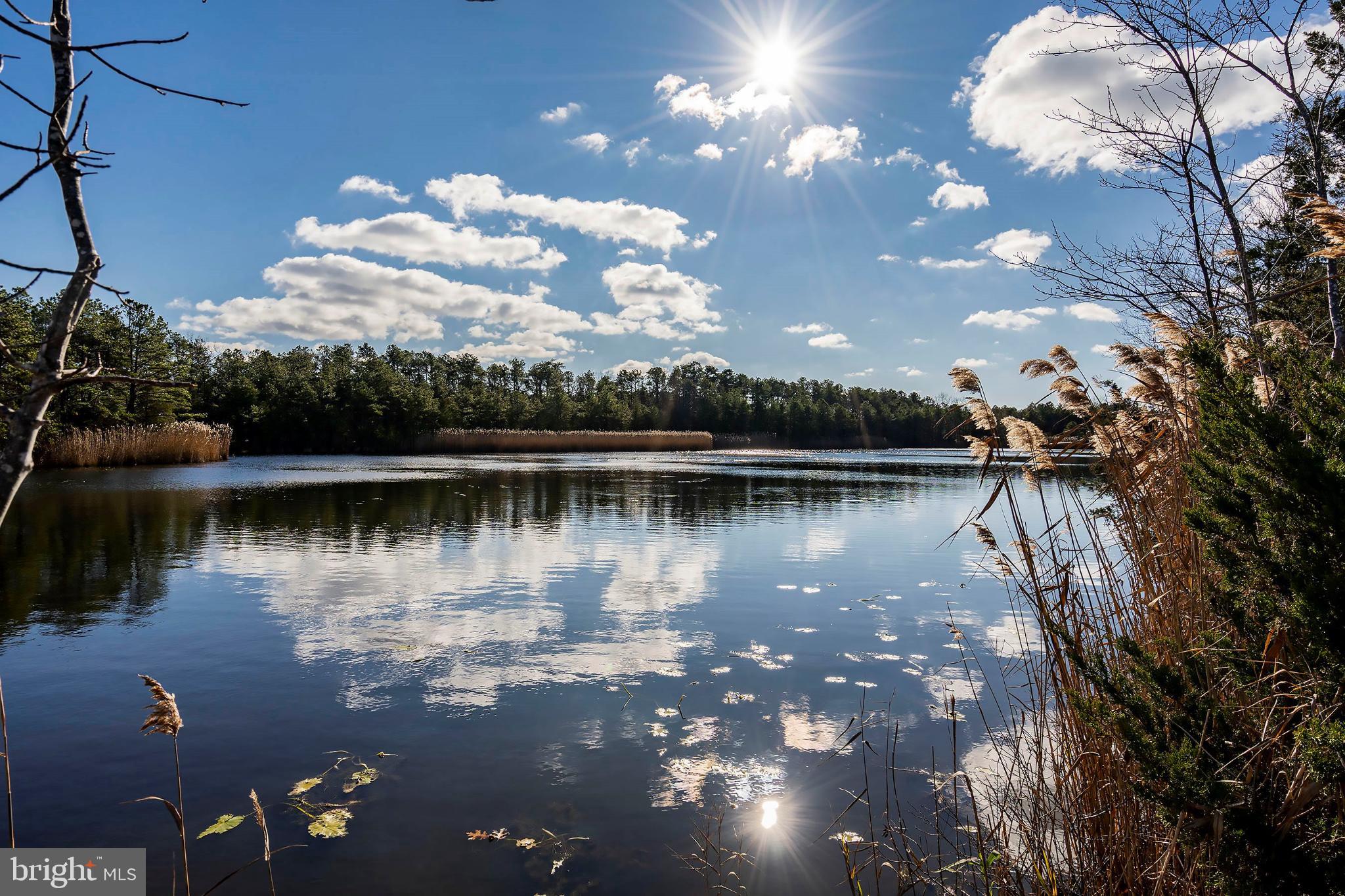 2B Magnolia Road Manahawkin, NJ 08050 - Photo 31 of 37 a view of a lake with lots of green space