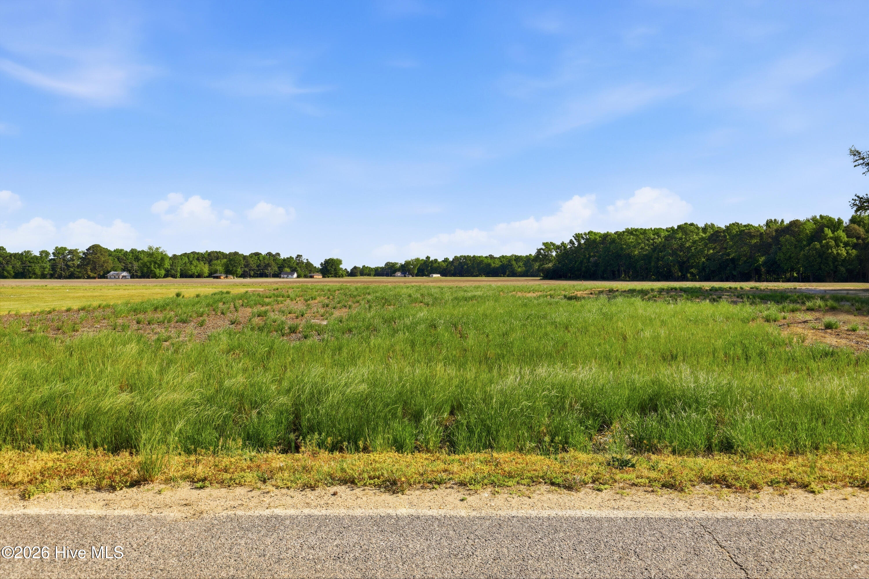 1152 Waller Road Mount Olive, NC 28365 - Photo 2 of 7
