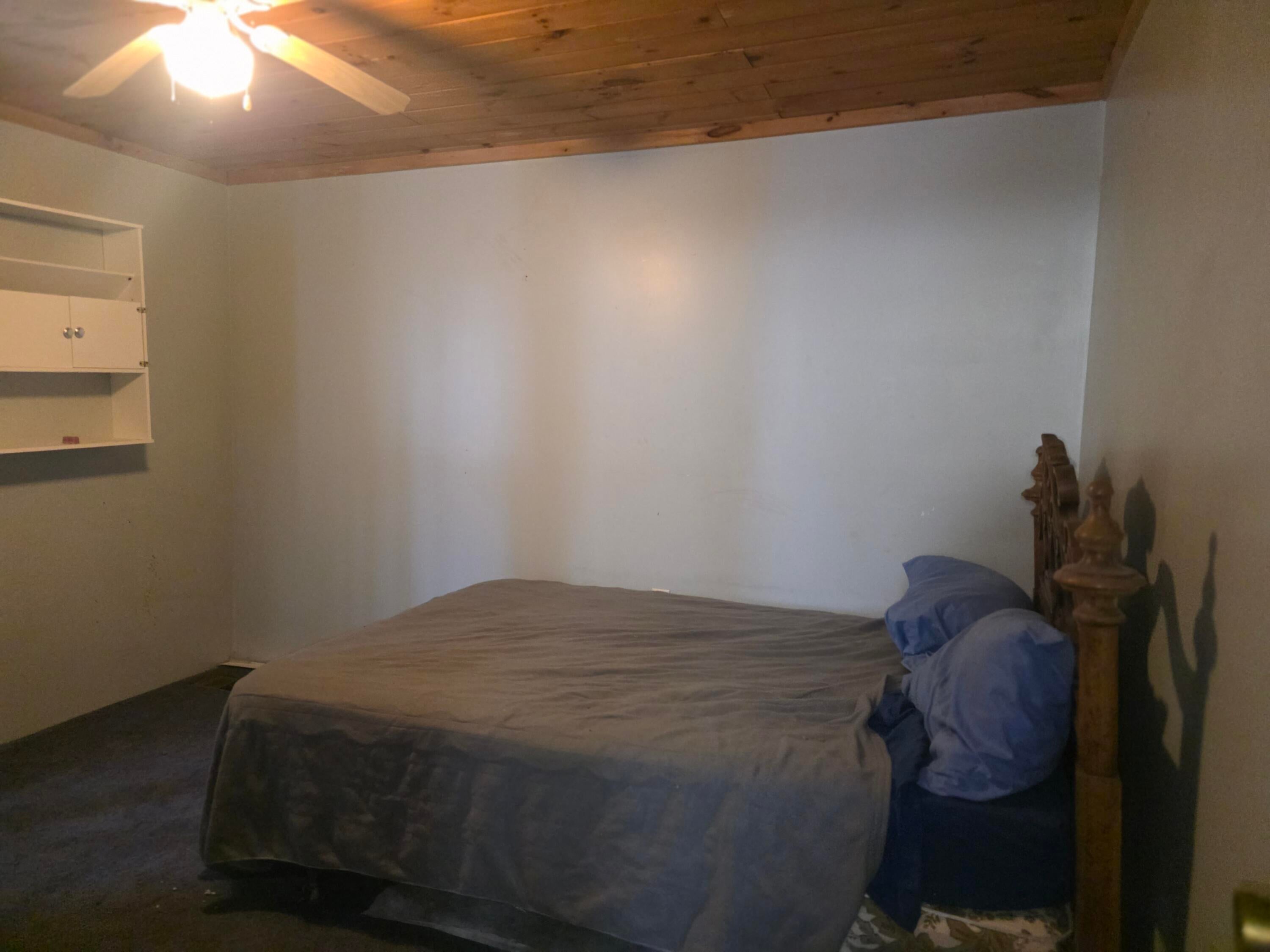 8446 Bamfield Road South Branch, MI 48761 - Photo 12 of 15 20260227_143608