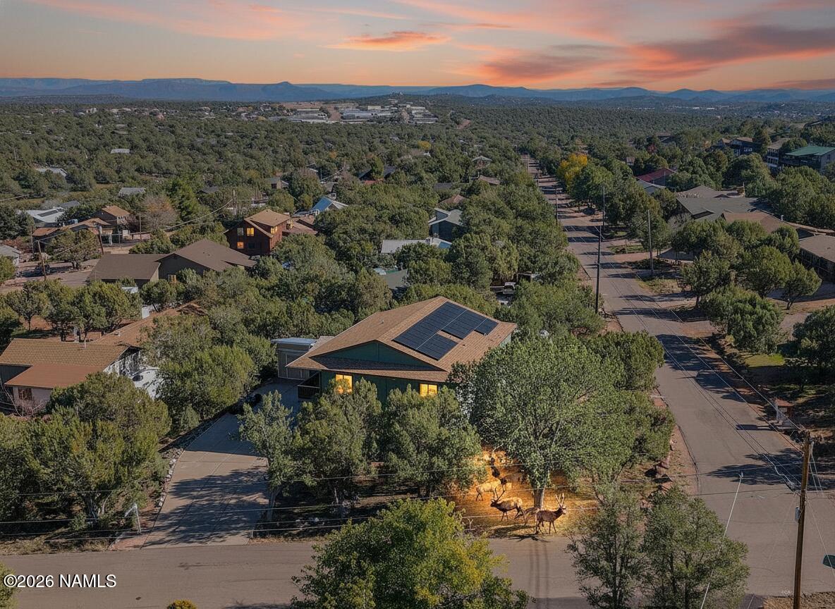 801 North Madison Drive Payson, AZ 85541 - Photo 2 of 38 elk under trees in the yard