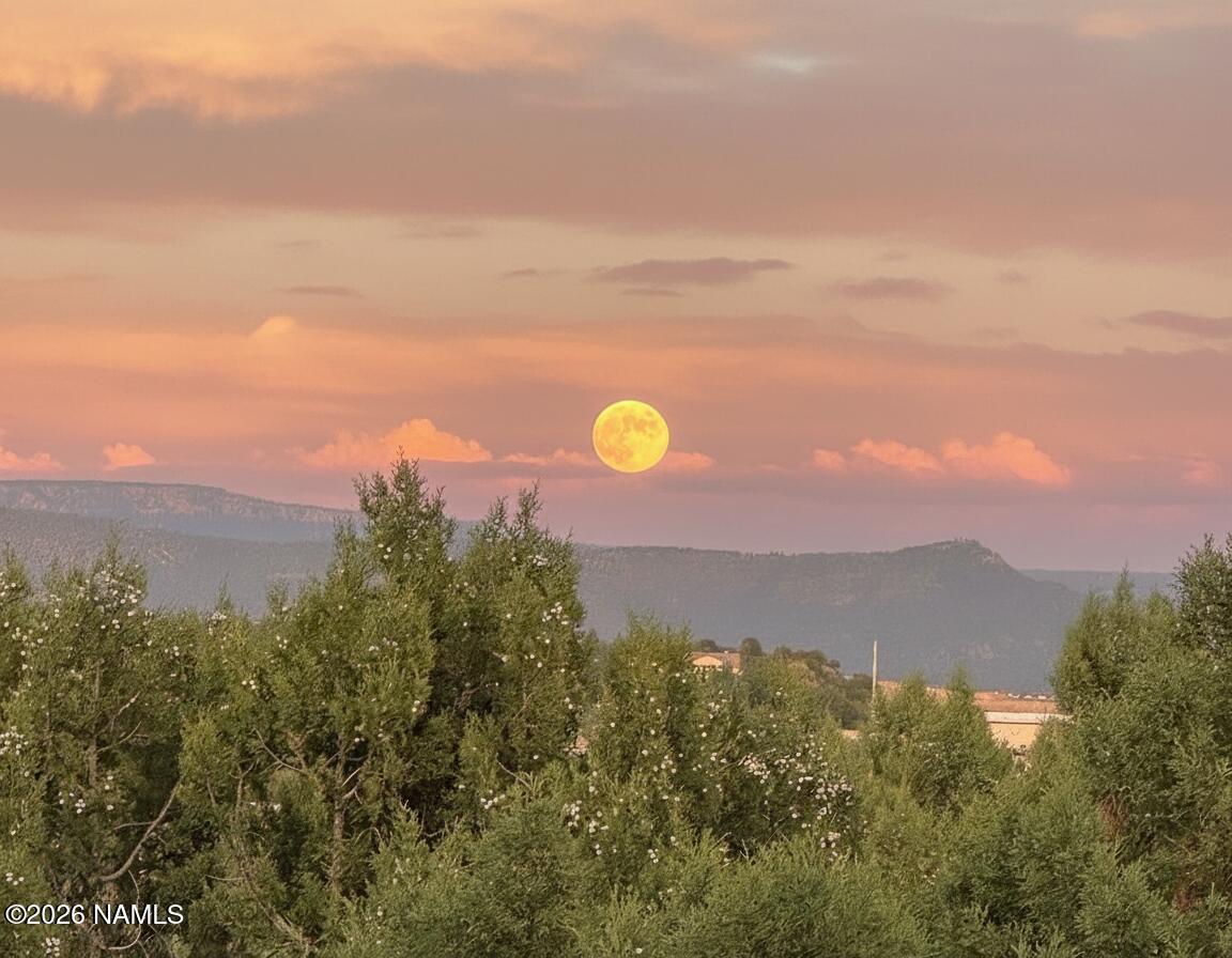 801 North Madison Drive Payson, AZ 85541 - Photo 38 of 38 moon rise