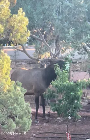 $649,900 | 801 North Madison Drive, Payson, AZ 85541