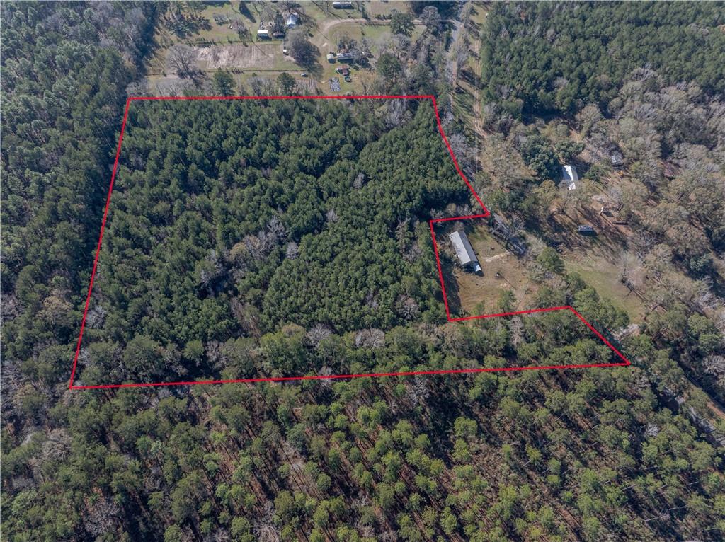 0 East River Road Glenmora, LA 71433 - Photo 11 of 14