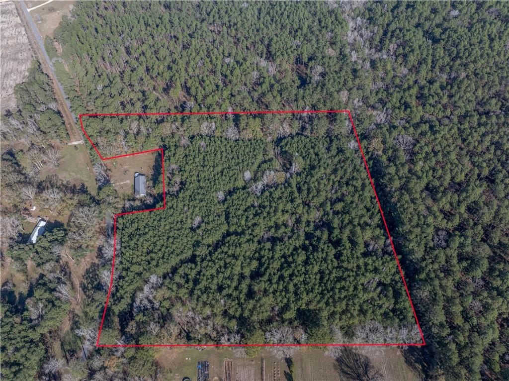 0 East River Road Glenmora, LA 71433 - Photo 13 of 14