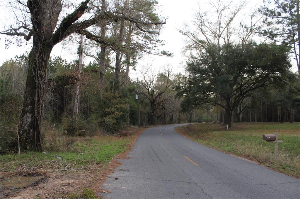 0 East River Road Glenmora, LA 71433 - Photo 2 of 14