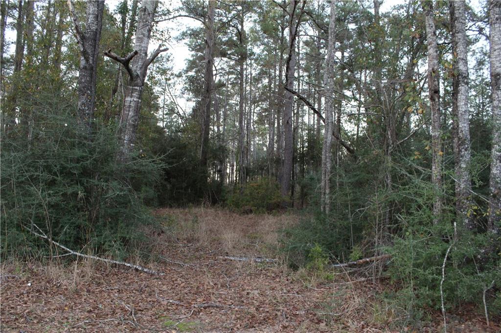 0 East River Road Glenmora, LA 71433 - Photo 3 of 14