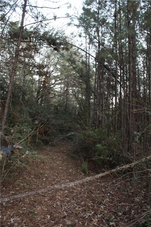 0 East River Road Glenmora, LA 71433 - Photo 5 of 14