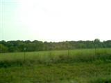 0 East 388th Road Buffalo, MO 65622 - Photo 1 of 1 Primary Photo