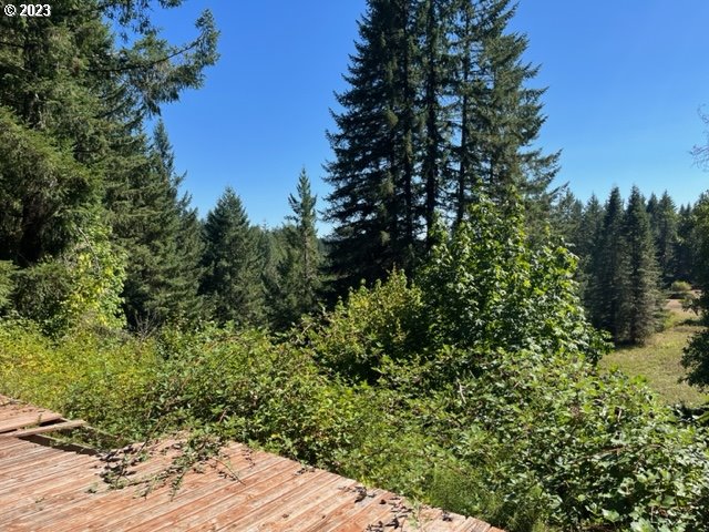 18601 Southwest Indian Creek Road Willamina, OR 97396 - Photo 12 of 15 Gallery Image 12