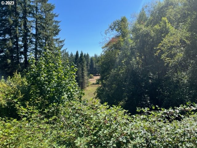 18601 Southwest Indian Creek Road Willamina, OR 97396 - Photo 13 of 15 Gallery Image 13