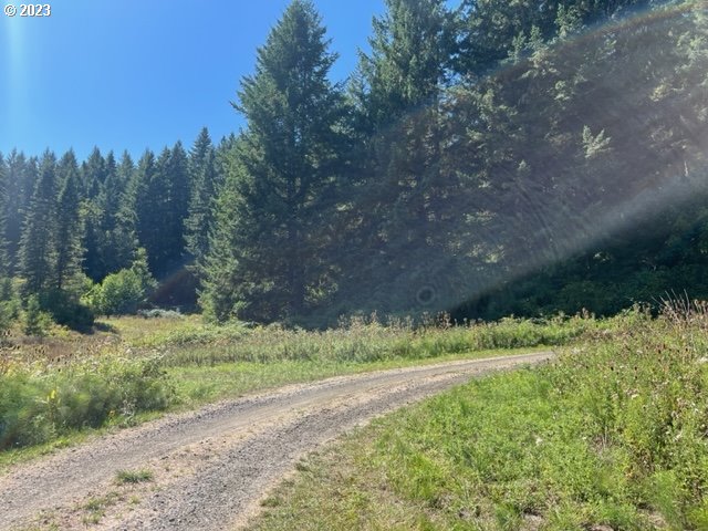 18601 Southwest Indian Creek Road Willamina, OR 97396 - Photo 14 of 15 Gallery Image 14