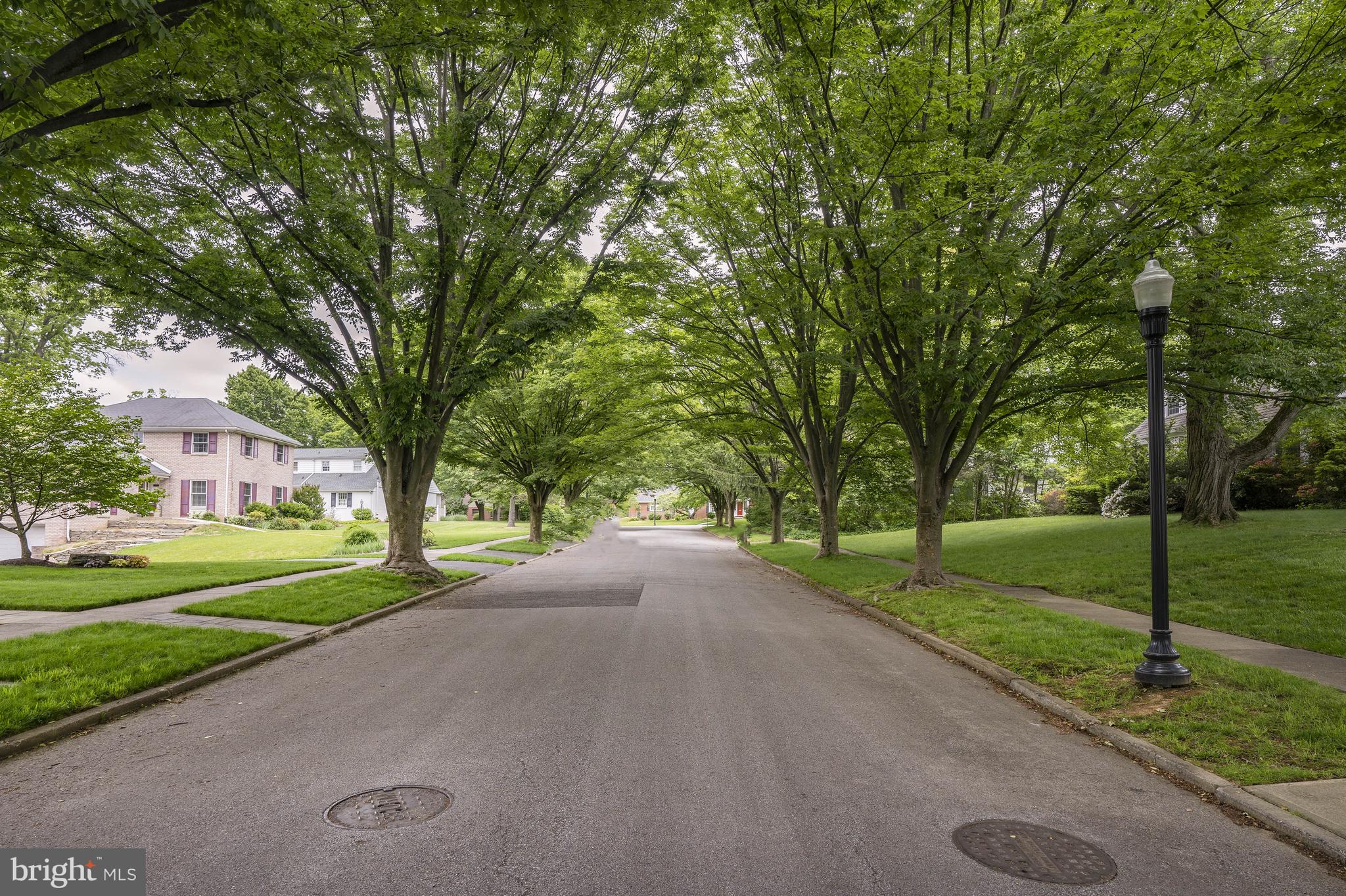 206 Medford Road Wilmington, DE 19803 - Photo 30 of 33 Medford Road's stunning tree canopy
