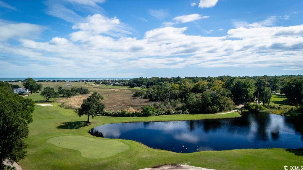 489-1 Golden Bear Drive, Unit 1 Pawleys Island, SC 29585 - Photo 3 of 37