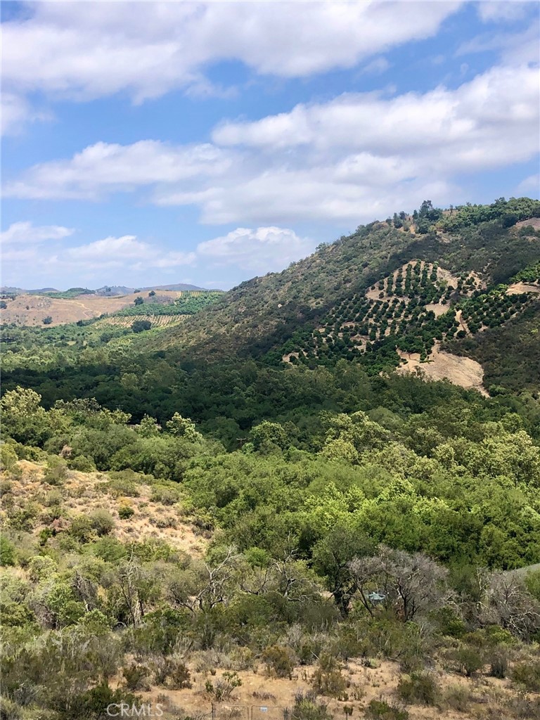 0 Kings Circle Temecula, CA 92590 - Photo 4 of 6 a view of a city with lush green forest