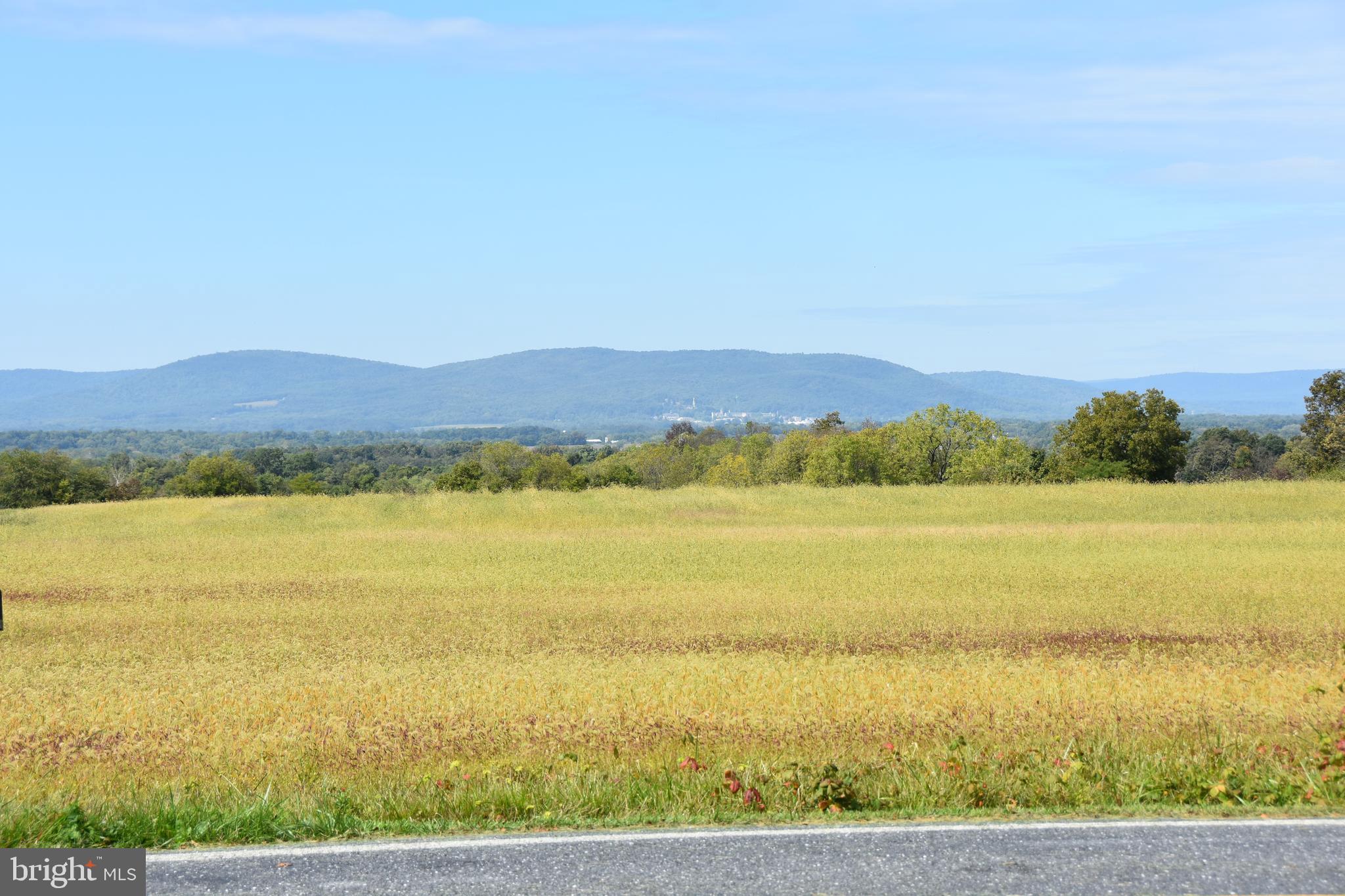 1771 Keysville Road South, Unit 1765 Keymar, MD 21757 - Photo 23 of 75 VIEW FROM FRONT PORCH