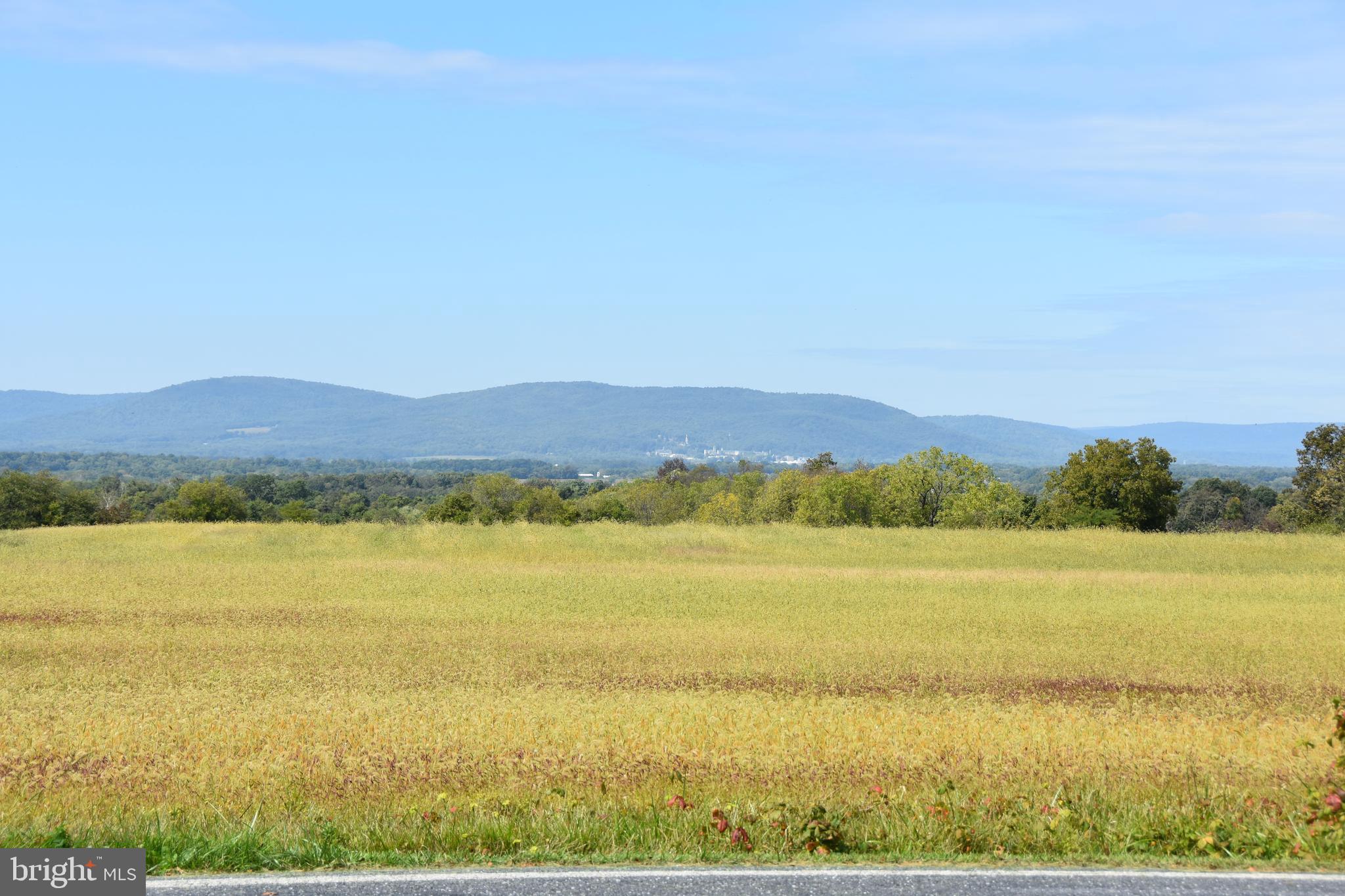 1771 Keysville Road South, Unit 1765 Keymar, MD 21757 - Photo 25 of 75 VIEW FROM FRONT PORCH