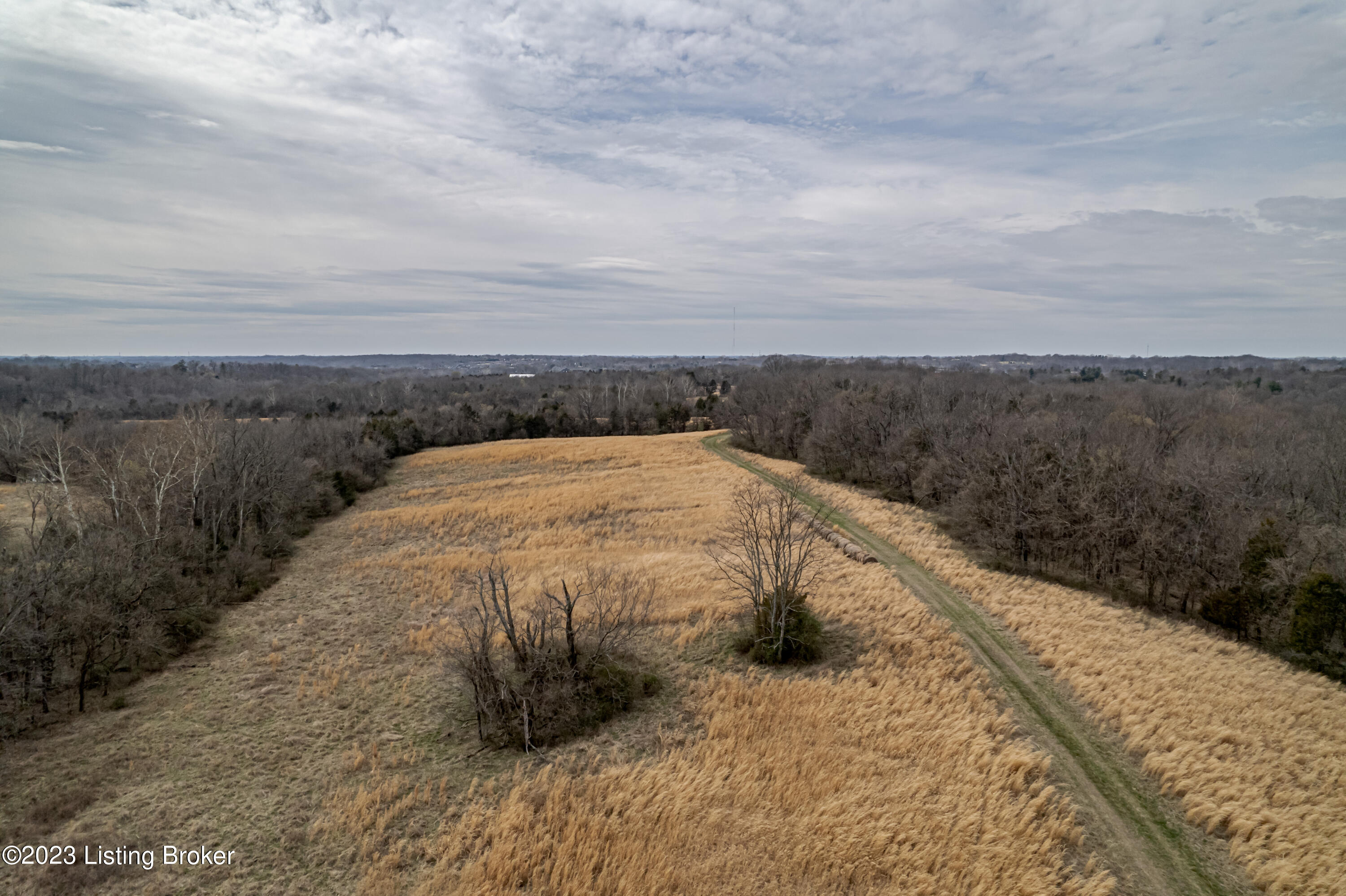 Tract Webb Road Simpsonville, KY 40067 - Photo 15 of 32 Aerial