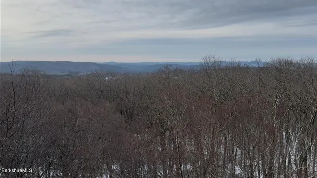 a view of a city with lush green forest