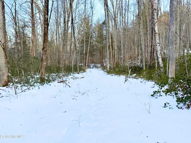 a view of road and trees