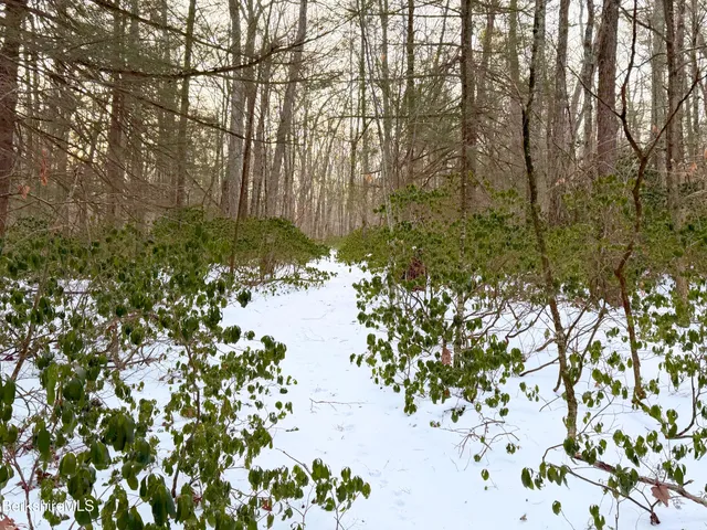 a view of a lake with a tree