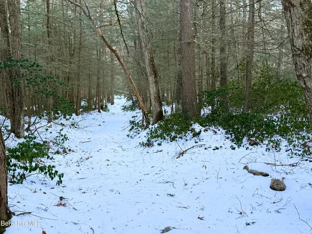 a view of a backyard of a house