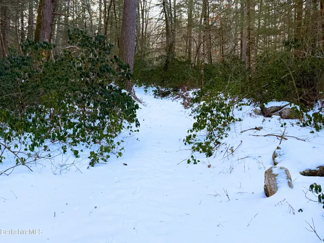 a view of a pathway with a yard